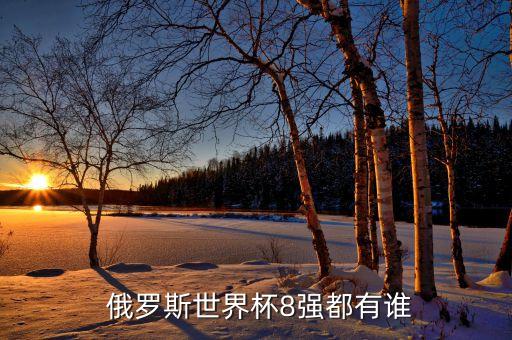  俄羅斯世界杯8強(qiáng)都有誰