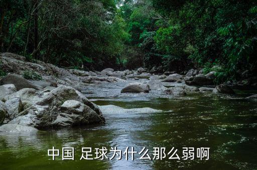 中國(guó) 足球?yàn)槭裁茨敲慈醢? class=