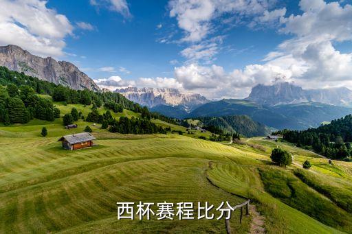 西班牙足球成績