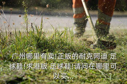  廣州哪里有賣!正版的耐克阿迪 足球鞋!求港版 足球鞋!請(qǐng)問在哪里可以買...