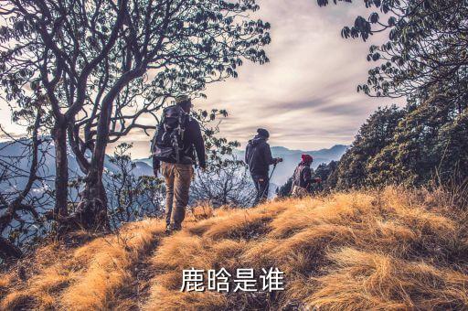 鹿晗是誰(shuí)