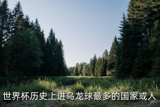 世界杯歷史上進烏龍球最多的國家或人