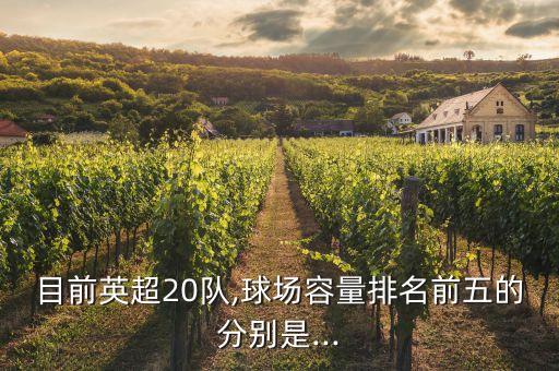 目前英超20隊(duì),球場(chǎng)容量排名前五的分別是...