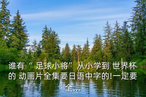 誰有“ 足球小將”從小學(xué)到 世界杯的 動畫片全集要日語中字的!一定要全...