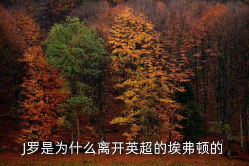 J羅是為什么離開(kāi)英超的埃弗頓的