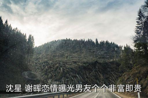 沈星 謝暉戀情曝光男友個(gè)個(gè)非富即貴