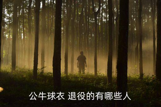 足球號碼退役,足球運動員多少歲退役