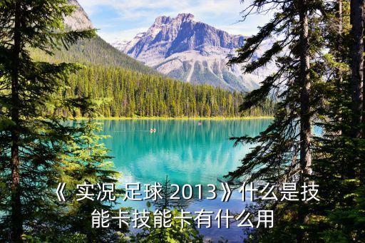 《 實況 足球 2013》什么是技能卡技能卡有什么用