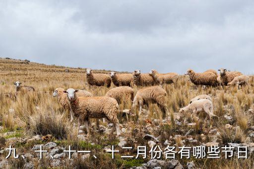 九、十、十一、十二月份各有哪些節(jié)日