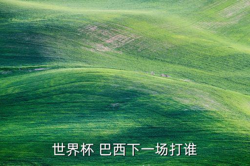 世界杯 巴西下一場打誰
