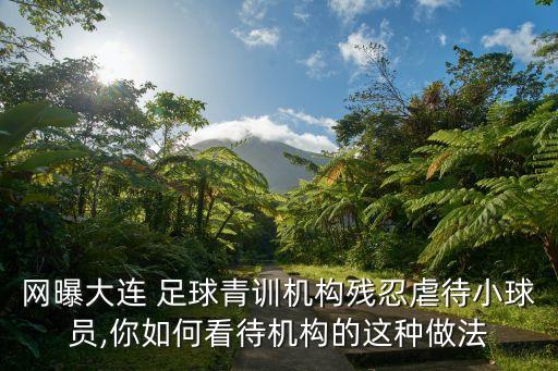 網(wǎng)曝大連 足球青訓機構殘忍虐待小球員,你如何看待機構的這種做法