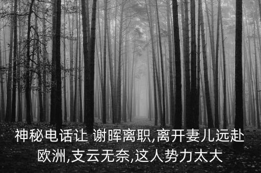 神秘電話讓 謝暉離職,離開妻兒遠(yuǎn)赴歐洲,支云無奈,這人勢(shì)力太大