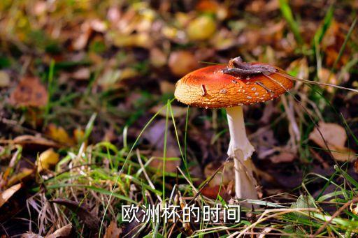  歐洲杯的時間