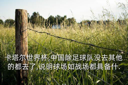 白巖松說中國(guó)足球隊(duì),你想對(duì)中國(guó)足球隊(duì)說些什么