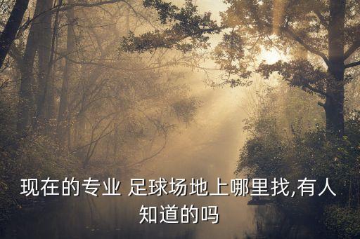 現(xiàn)在的專業(yè) 足球場(chǎng)地上哪里找,有人知道的嗎