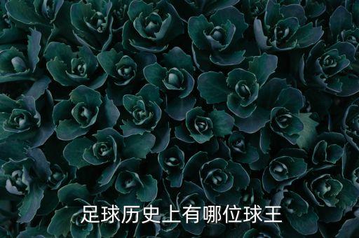 足球十大掌門人,香港十大玉女掌門人