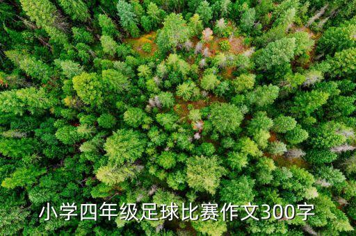 小學(xué)四年級足球比賽作文300字