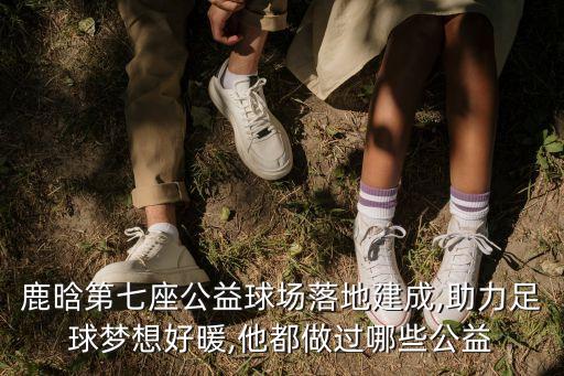 鹿晗第七座公益球場(chǎng)落地建成,助力足球夢(mèng)想好暖,他都做過(guò)哪些公益