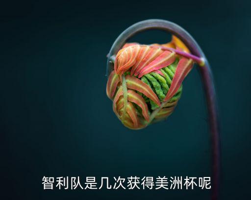 智利國(guó)家足球隊(duì),智利足球隊(duì)成員名單