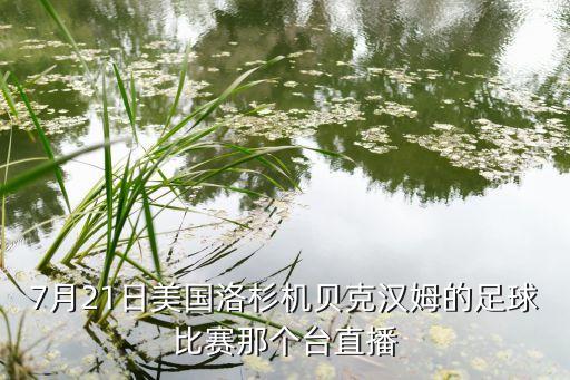 足球賽活動新聞,小學生足球賽新聞