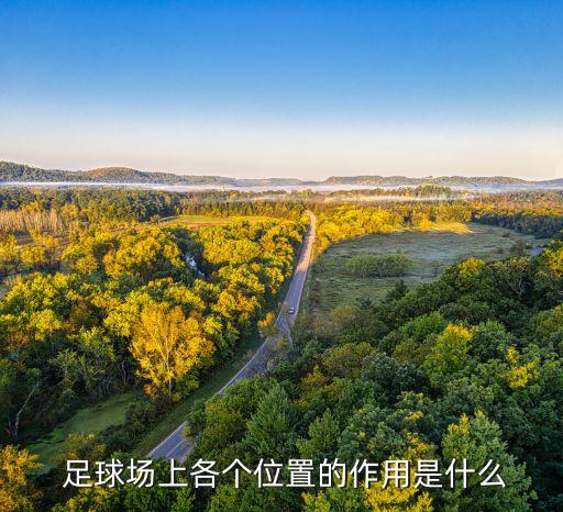  足球場上各個位置的作用是什么