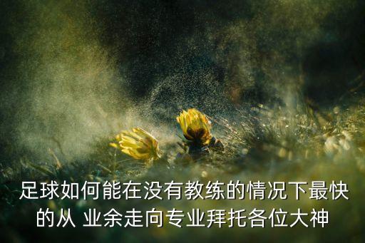 業(yè)余足球經(jīng)驗(yàn),廣東省業(yè)余足球協(xié)會(huì)