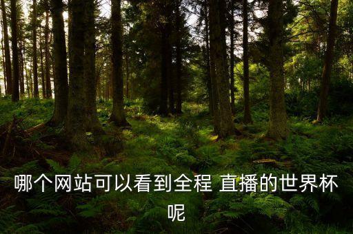哪個網(wǎng)站可以看到全程 直播的世界杯呢