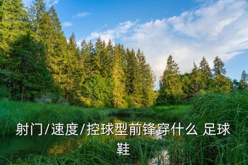 彪馬袋鼠皮足球鞋2016,袋鼠皮足球鞋的優(yōu)缺點(diǎn)