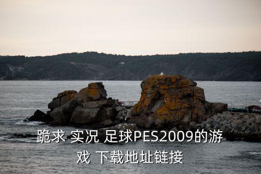跪求 實況 足球PES2009的游戲 下載地址鏈接