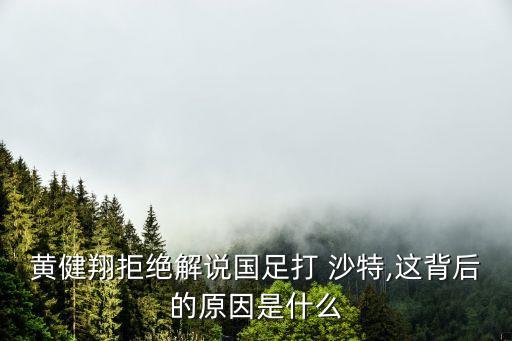 黃健翔拒絕解說(shuō)國(guó)足打 沙特,這背后的原因是什么