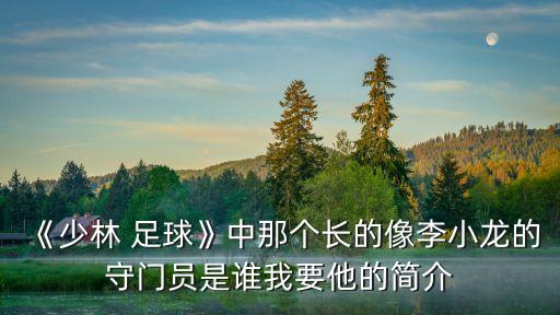 《少林 足球》中那個(gè)長(zhǎng)的像李小龍的守門員是誰我要他的簡(jiǎn)介