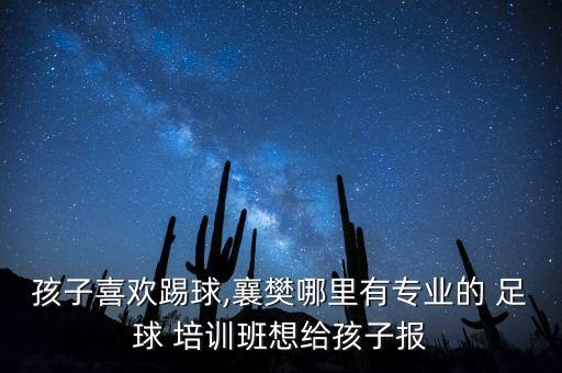 幼兒足球培訓招生簡章,山東魯能泰山足球學校招生簡章
