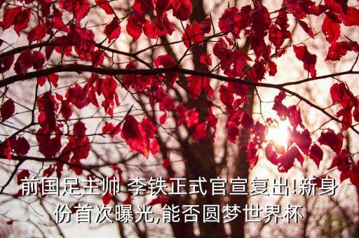 任丘李鐵足球,足球李鐵個人資料簡介