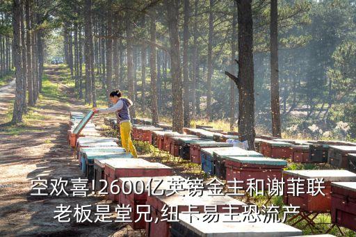 空歡喜!2600億英鎊金主和謝菲聯老板是堂兄,紐卡易主恐流產