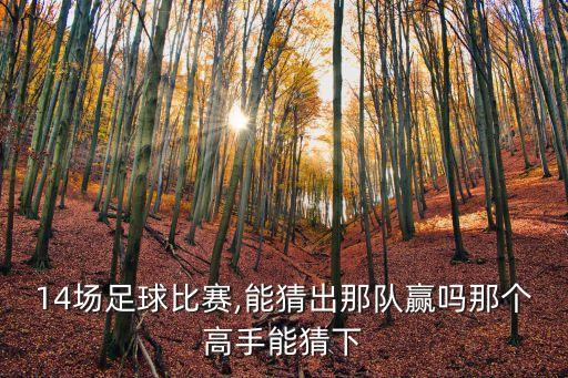 14場足球比賽,能猜出那隊(duì)贏嗎那個(gè)高手能猜下