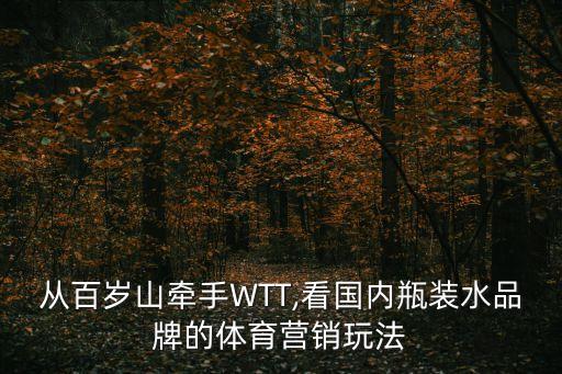 限量版百事可樂(lè)足球罐,百事可樂(lè)足球廣告2006世界杯
