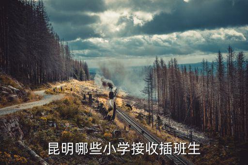 昆明哪些小學(xué)接收插班生