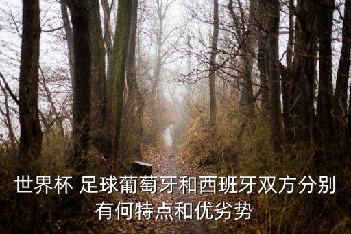 世界杯 足球葡萄牙和西班牙雙方分別有何特點(diǎn)和優(yōu)劣勢(shì)