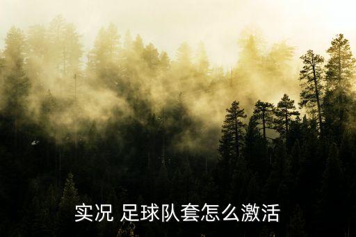 業(yè)務(wù)足球隊(duì)管理軟件,汽車維修業(yè)務(wù)管理軟件