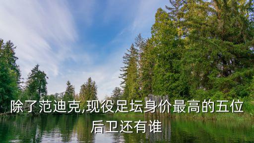 除了范迪克,現(xiàn)役足壇身價(jià)最高的五位后衛(wèi)還有誰(shuí)