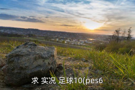 求 實(shí)況 足球10(pes6