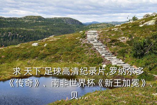 求 天下 足球高清紀錄片,羅納爾多《傳奇》、南非世界杯《新王加冕》、貝...
