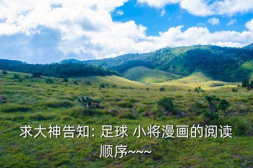 求大神告知: 足球 小將漫畫(huà)的閱讀順序~~~