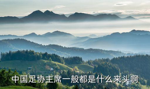 足球協(xié)會領導小組,校園足球工作領導小組及分工