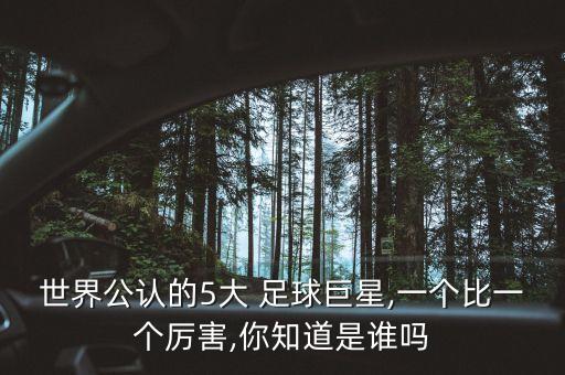 世界公認的5大 足球巨星,一個比一個厲害,你知道是誰嗎