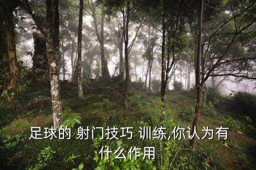 足球u11射門訓(xùn)練計(jì)劃