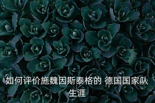 如何評價(jià)施魏因斯泰格的 德國國家隊(duì)生涯