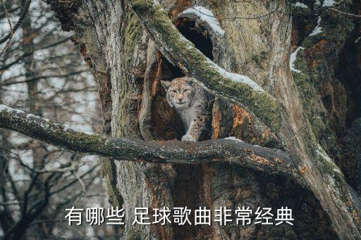 有哪些 足球歌曲非常經(jīng)典