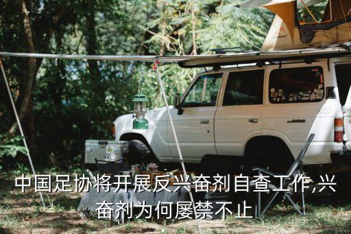 中國足球打假風暴,2010中國足球風暴