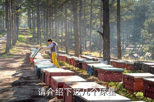 請(qǐng)介紹下這幾個(gè)球星